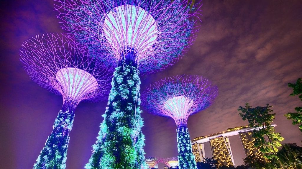 Stopover Singapur - Gardens by the Bay